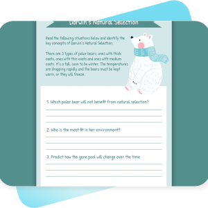 Managing Your Classroom Environment Profdevplus